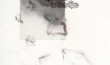 8-copia1-388x515